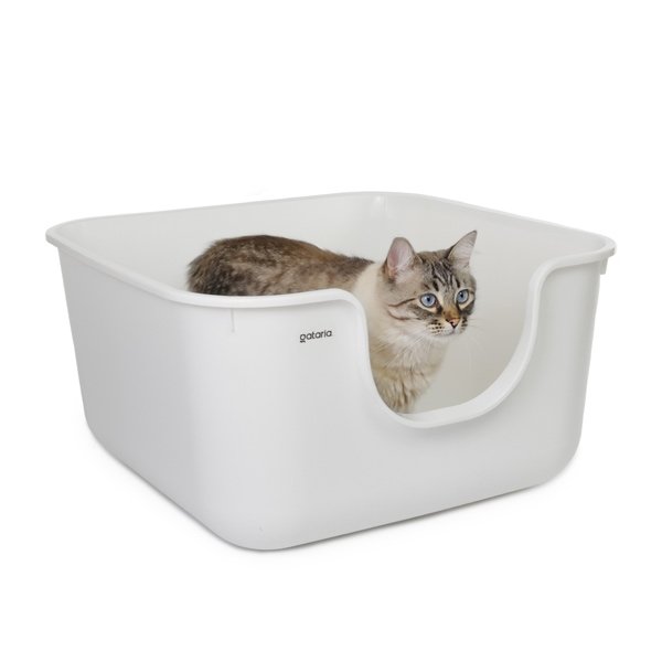 Alternative view of Arenero cuadrado XXL c/ paredes altas MAX