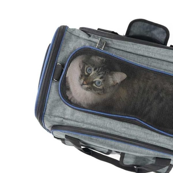 Alternative view of Transportín AUSTIN extensible